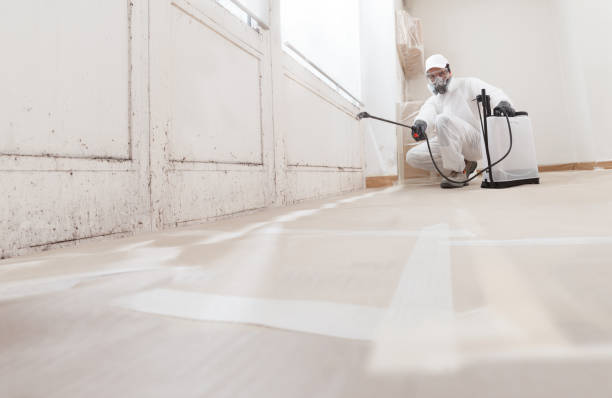 24/7 Emergency Mold Remediation experts in Newton, MA